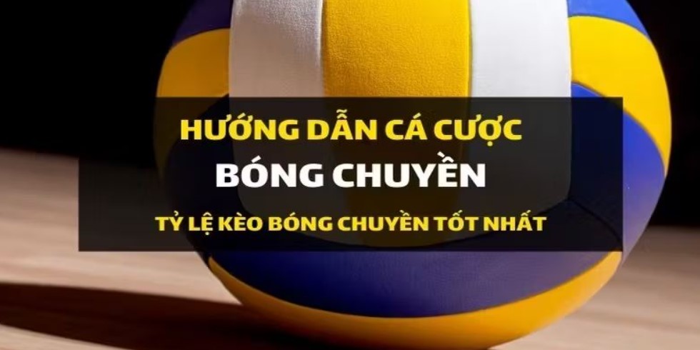 Sơ lược về cá cược bóng chuyền